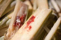 5 thực phẩm để lâu trong bếp sẽ sinh ra độc tố, cần lưu ý