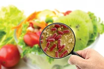 Từ vụ ngộ độc botulinum, hướng dẫn bảo quản thực phẩm đúng cách