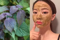 "Thổi bay" nám da bằng lá tía tô siêu đơn giản, hiệu quả