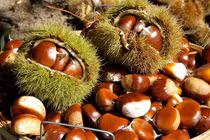 6 lợi ích bất ngờ của hạt dẻ đối với sức khoẻ