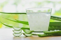 7 lợi ích bất ngờ của nước ép lô hội đối với sức khỏe