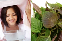 6 cách xông mặt bằng lá tía tô giúp da sáng mịn và giảm mụn