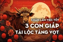 Chăm làm việc tốt, cuối năm 2024, 3 con giáp tài lộc tăng vun vút 