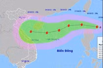 Các tỉnh, thành phố chủ động ứng phó bão Nesat