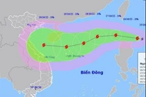 Các tỉnh, thành phố chủ động ứng phó bão Nesat