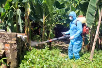 Hà Nội: Tăng cường các biện pháp phòng chống sốt xuất huyết