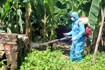 Hà Nội: Tăng cường các biện pháp phòng chống sốt xuất huyết