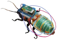 Nhật Bản: Phát minh robot gián hỗ trợ tìm kiếm người mất tích