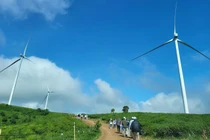 Lâm Đồng: Thêm 2 nhà máy điện gió với vốn đầu tư gần 4.400 tỷ đồng