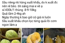 Thực hư việc “giải cứu sầu riêng” giá rẻ 