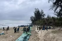 Hàng trăm bộ đội, người dân gia cố khẩn cấp bờ biển Mỹ Khê