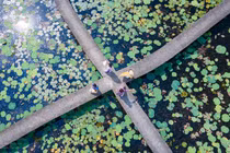 Về Long An "chill" cùng không gian xanh làng nổi Tân Lập