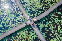 Về Long An "chill" cùng không gian xanh làng nổi Tân Lập