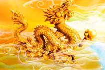 Tử vi tuần mới (17 - 23/2): 3 con giáp làm ăn tấn tới