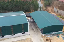 Công ty TNHH Đại Lục Phát bị xử phạt 365 triệu đồng