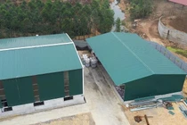 Công ty TNHH Đại Lục Phát bị xử phạt 365 triệu đồng