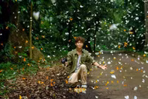 Đến Cúc Phương ngắm bướm bay rợp trời, chọn tour hay tự túc?