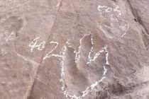 Phát hiện dấu chân khủng long siêu rõ, chuyên gia lý giải sao? 