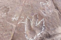 Phát hiện dấu chân khủng long siêu rõ, chuyên gia lý giải sao? 