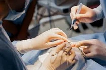 Công ty TNHH Phòng khám Thẩm mỹ Rita bị đình chỉ hoạt động