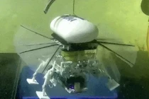 Robot biến hình lấy cảm hứng từ cá đuối chinh phục rãnh Mariana