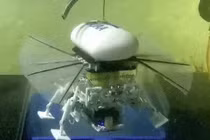 Robot biến hình lấy cảm hứng từ cá đuối chinh phục rãnh Mariana