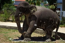 Loạt hình tượng động vật “Sách Đỏ” trên cổ vật Việt Nam