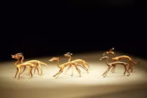 Đào đất đụng trúng kho báu, cả công trường lập tức bị phong toả vì...