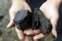 Đi câu cá vớt được gỗ hơn 1.000 tuổi, giật mình khi biết giá trị "khủng"