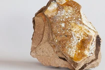 Đi dạo bờ biển, tình cờ nhặt được "kho báu" làm đổi đời cả gia đình