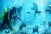 Tàu cổ 700 năm lộ diện chứa báu vật quý hơn vàng sau cơn mưa lớn