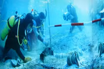 Tàu cổ 700 năm lộ diện chứa báu vật quý hơn vàng sau cơn mưa lớn