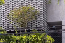 Nhà phố mát rượi nhờ thiết kế "bọc” vỏ nhiệt đới bên ngoài