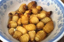 Loạt đặc sản làm từ sâu, không phải ai cũng dám thử