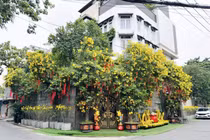 Biệt thự 60 tỷ xa hoa, lộng lẫy của Đàm Vĩnh Hưng 