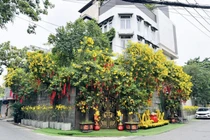 Biệt thự 60 tỷ xa hoa, lộng lẫy của Đàm Vĩnh Hưng 