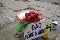 3 loại quả xưa không ai biết giờ thành "đặc sản" nhiều người thích mê