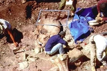 Hé lộ bằng chứng cổ về người ngoài hành tinh từng đến Trái Đất?