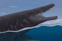 Lộ diện "quái vật" dài 8m, có bộ răng sắc nhọn như dao găm