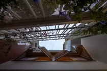 Ngôi nhà kết cấu thép như nhánh lan rừng đang khoe sắc