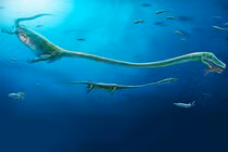 Lộ diện sinh vật lạ giống hệt rồng và "quái vật" hồ Loch Ness