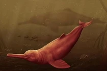 Lộ diện "thủy quái" đỏ khổng lồ 16 triệu tuổi tại Peru