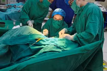 Đi khám rong kinh, trẻ 11 tuổi phát hiện có 2 buồng tử cung