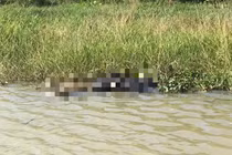 Thi thể người phụ nữ đang phân hủy trôi dạt trên sông Sêrêpốk