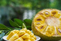 Ai nên hạn chế ăn mít?