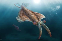 Loạt "thuỷ quái" khổng lồ đáng sợ nhất đại dương