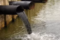 Xả nước thải vượt quy chuẩn, Công ty Mai Hải Minh bị phạt 260 triệu đồng