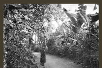 Chiêm ngưỡng loạt ảnh cực hiếm về Sài Gòn hoang sơ năm 1867