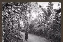 Chiêm ngưỡng loạt ảnh cực hiếm về Sài Gòn hoang sơ năm 1867