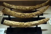 Chiêm ngưỡng 3 bộ cổ vật ngà voi ở ba miền đất nước